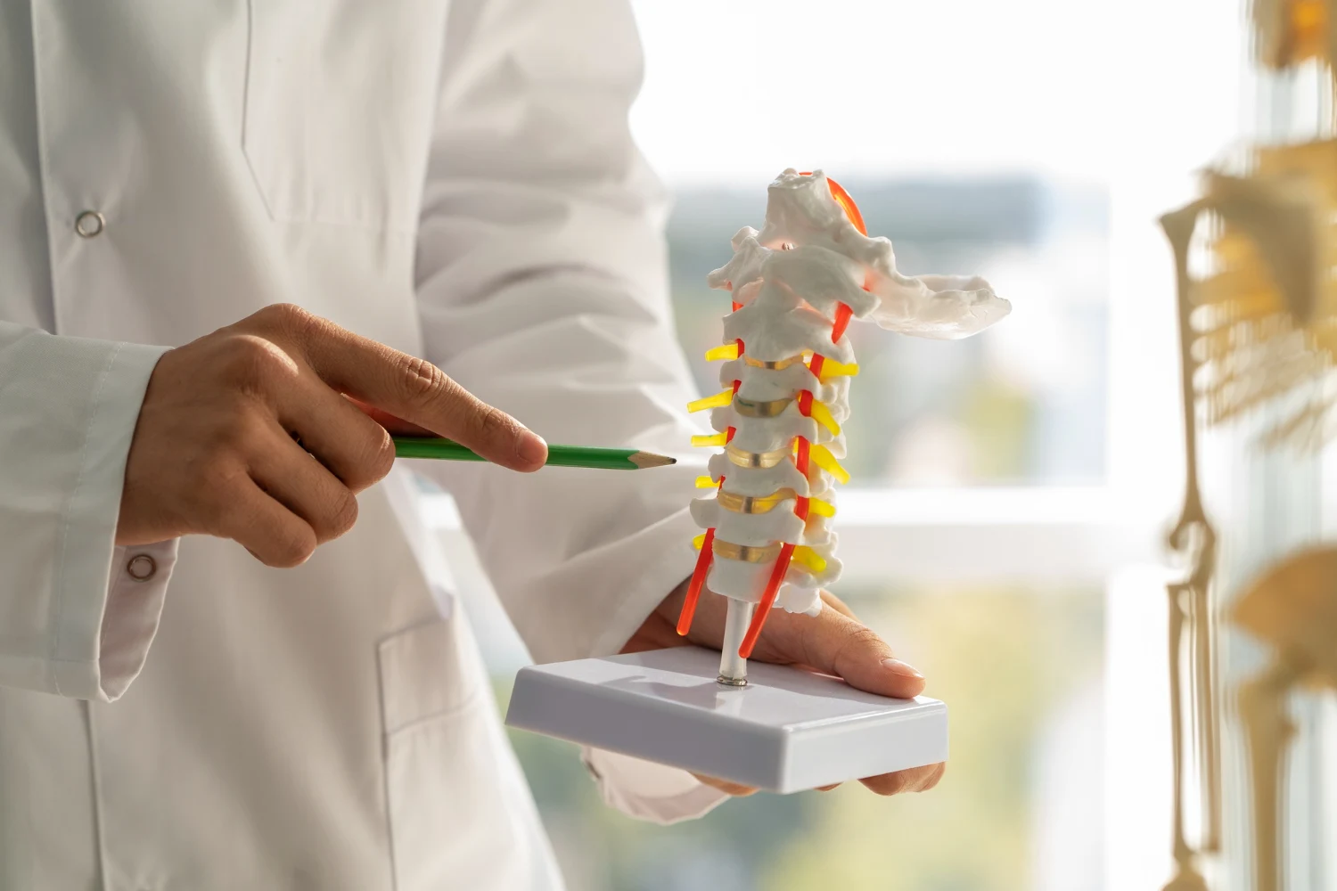 Spinal Stenosis & Disc Disorders